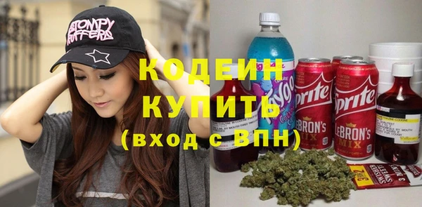 стаф Богородицк