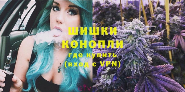 стаф Богородицк